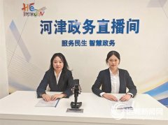 继续深化数字政务创